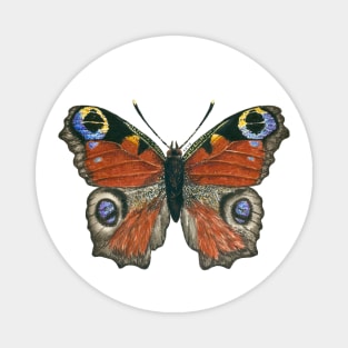 Peacock butterfly Magnet